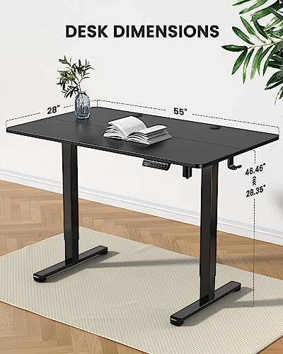 ErGear Height Adjustable Electric Standing Desk, 55 x 28 Inches Sit Stand up Desk, Memory Computer Home Office Desk (Black)